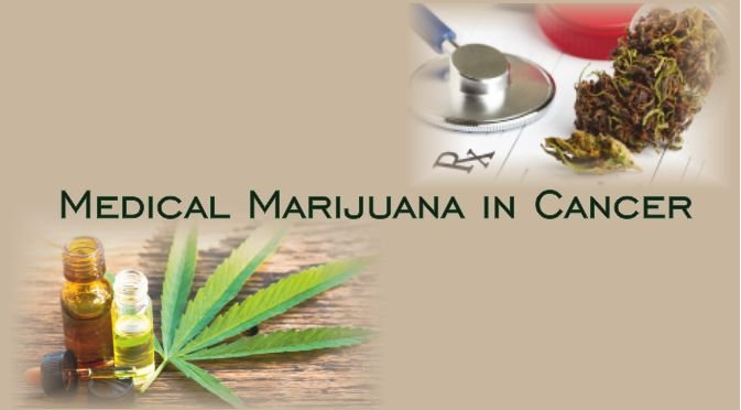 Medical Marijuana In Cancer |